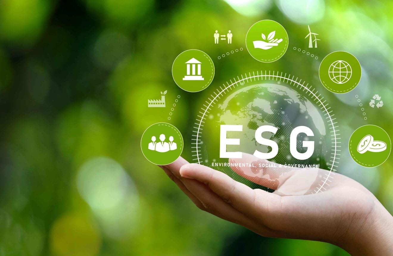Decarbonization Assessment Quiz